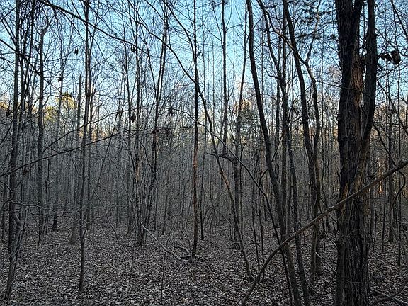 3rd image of 0 E Hyco Rd