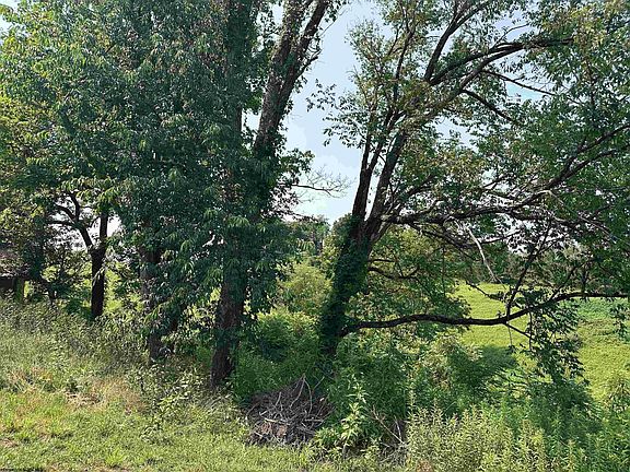 5th image of Slab Camp Rd