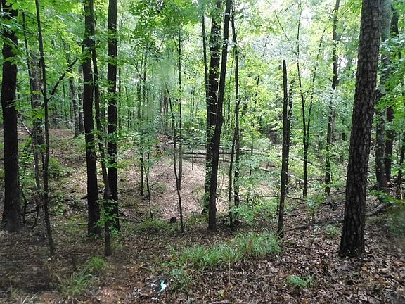 4th image of 1379 Lakeshore Estates Dr