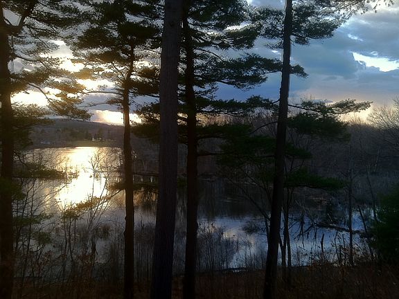 Backyard View