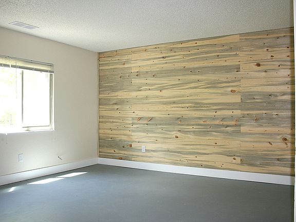 Colorado Beetle Kill Accent wall