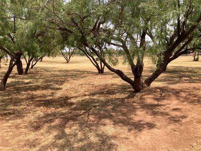 LOT 29 Country Club Dr, Merkel, TX, 79536