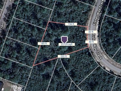 Fisher Way Trak Lot 28, Ocklawaha, FL, 32179