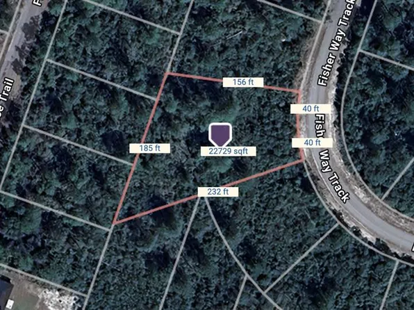 Fisher Way Trak Lot 28, Ocklawaha, FL 32179