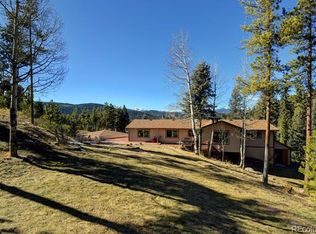 7649 S Frog Hollow Ln, Evergreen, CO 80439