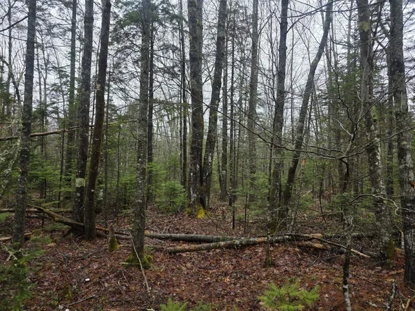 00 Mount Ephraim Road, Searsport, ME 04974