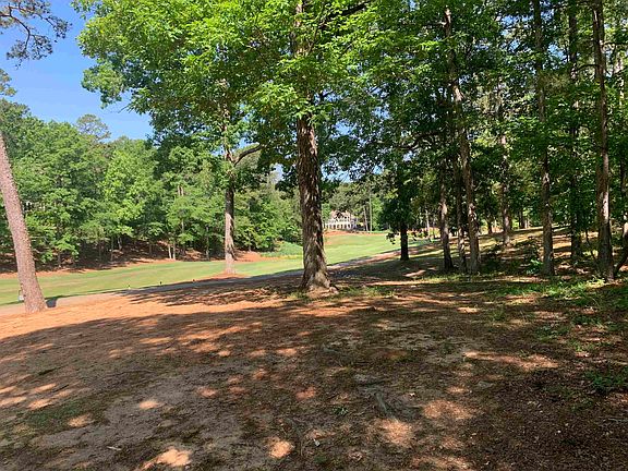 3rd image of 1121 Scull Shoals Dr
