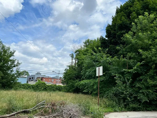 4238 4th St, Detroit, MI 48201