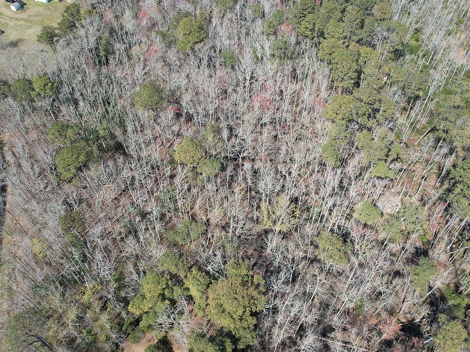 1st image of 119 Jones Lane