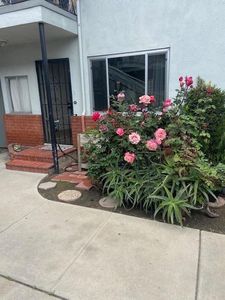 443 Atlantic Ave APT 9, Long Beach, CA, 90802