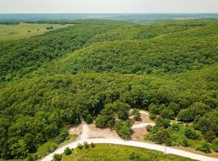 8675 Farm Road 1232, Aurora, MO 65605