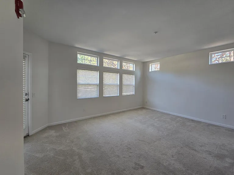325 Swallowtail Ct — Photo 8