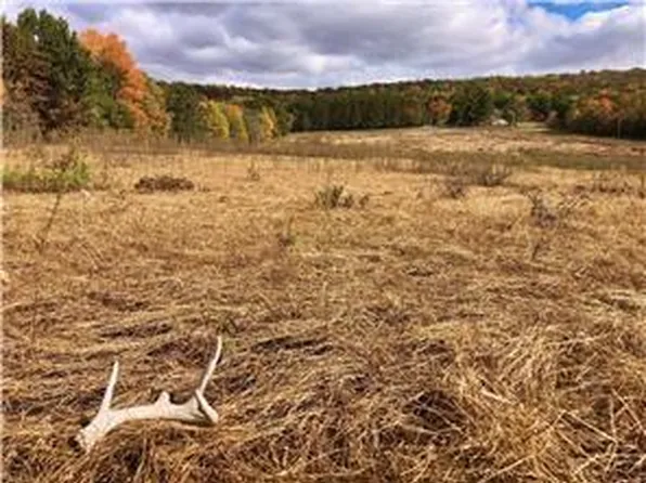 W3372 235th Avenue, Maiden Rock, WI 54750