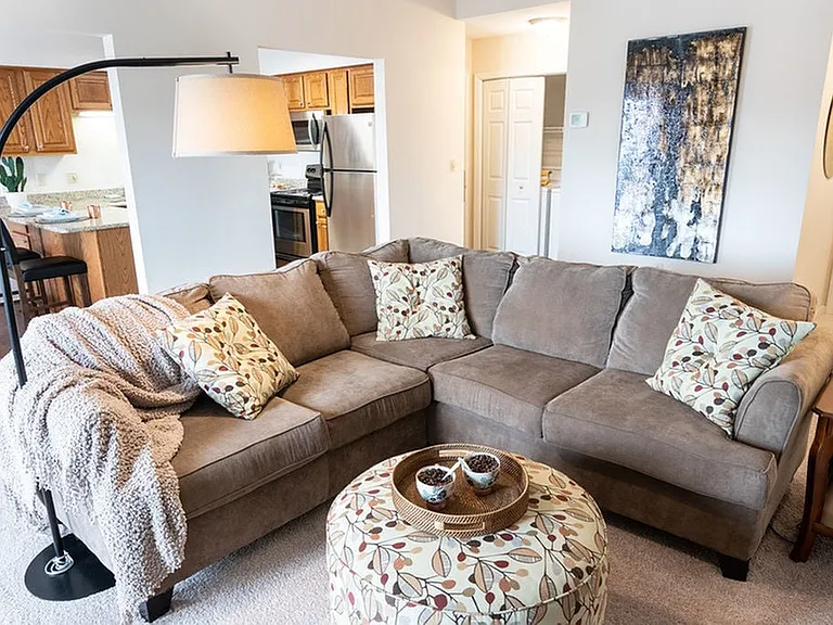 Living Room with Carpet