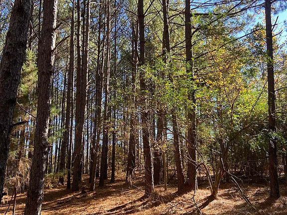 3rd image of County Road 4814