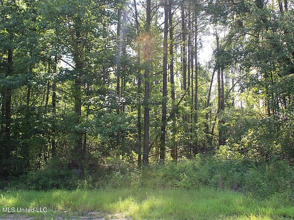 2nd image of 3001 Wilkins Chapel Rd