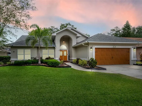 905 Clearcreek Dr, Tampa, FL 33613