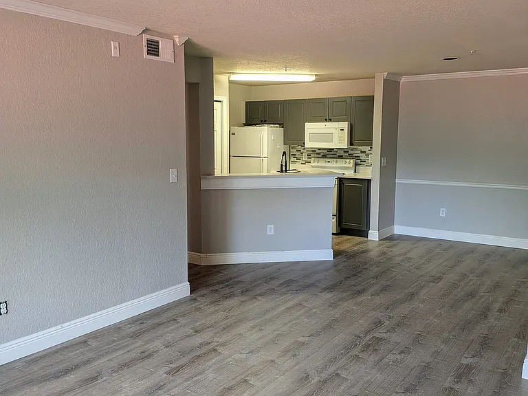 4209 Woodstorks Walk Way #205 — Photo 6