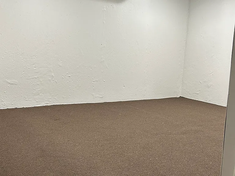 Expansive lower-level space perfect for storage, workspace, or additional use.