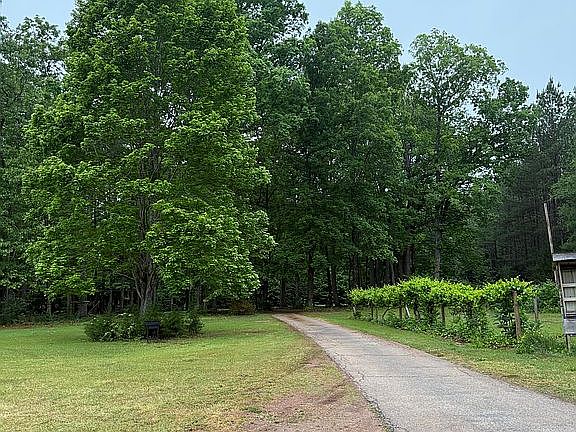5th image of 4281 Highway 56