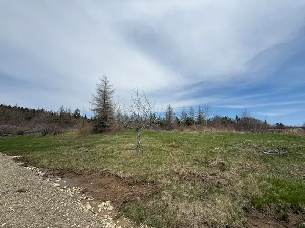 Lot 3 Holmes Bay Farms Road, Whiting, ME 04691