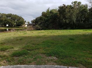 33732 Spring Dr, Leesburg, FL 34788