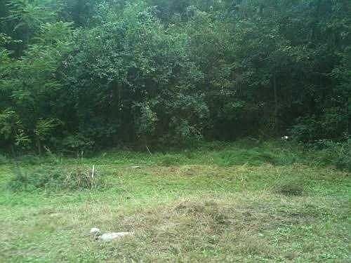 2nd image of 1108 Heyward Brockington Rd