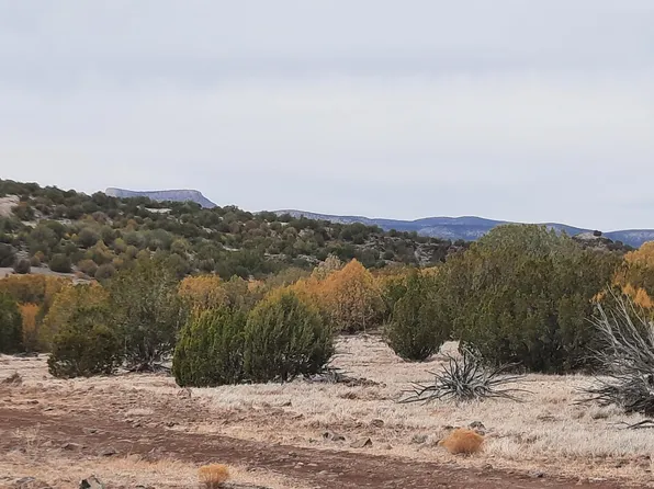 1349 N Last Chance Rd, Seligman, AZ 86337