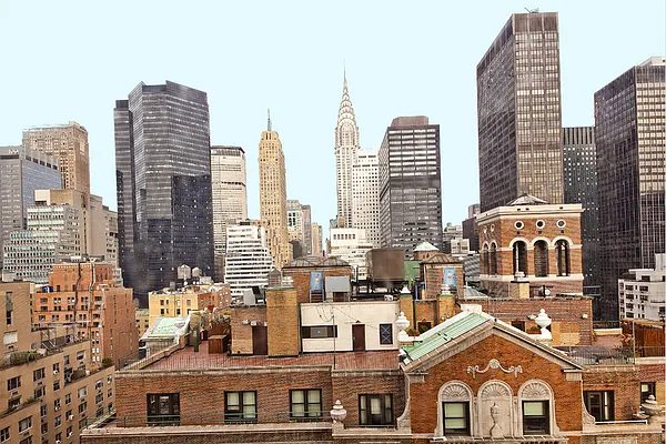 Sold by Stribling | media 19