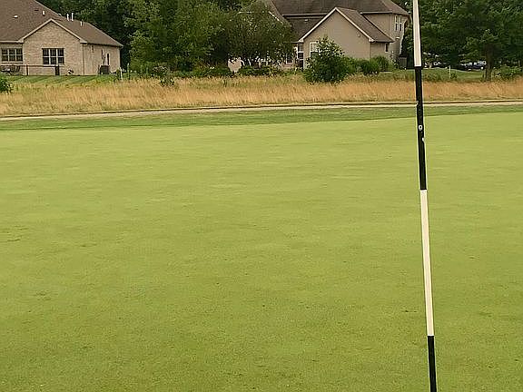 9th hole looking at house