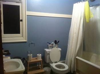 5th image of 423 Terry Ave APT 14