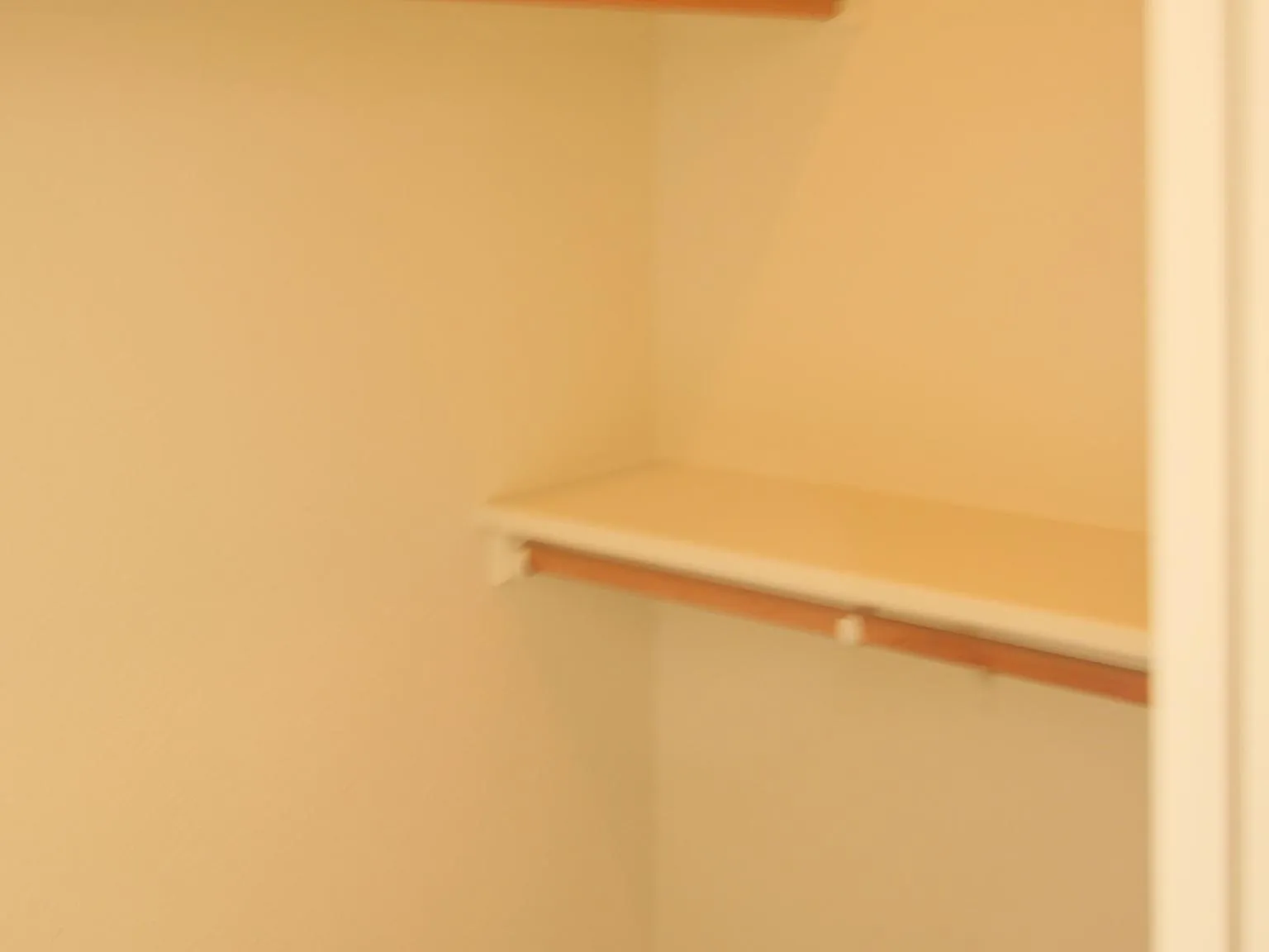 3 bed, 1326 sqft, $1,650 — Photo 3