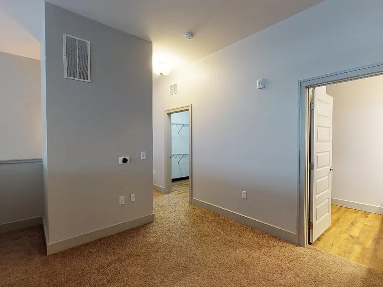 Spacious apartment bedroom with large closet and plush carpet flooring.
