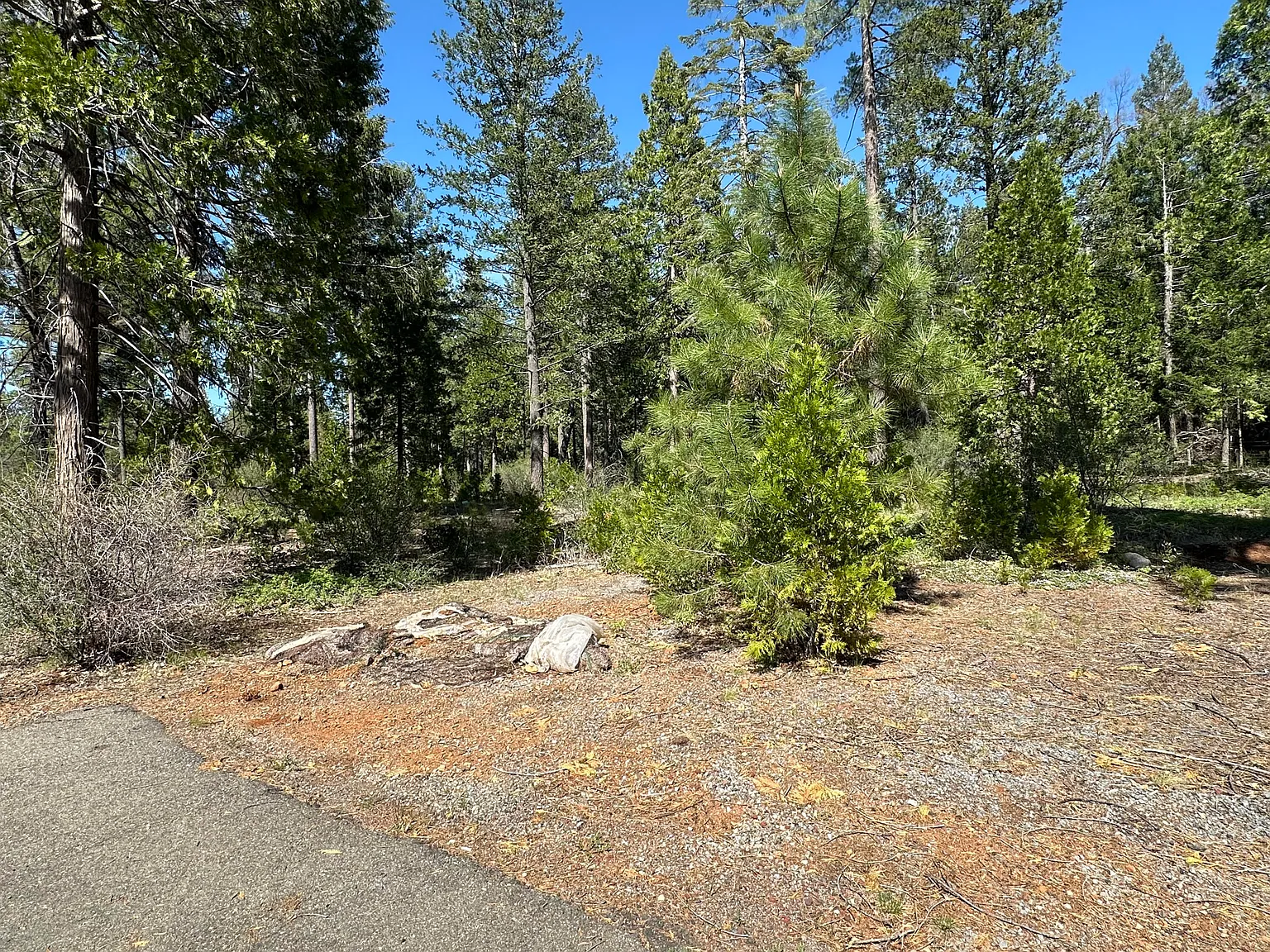 LOT 13 Speargrass Ct photo 1