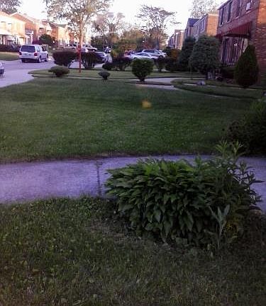 3rd image of 9124 S Urban Ave