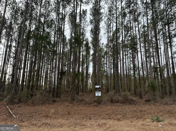 PARCEL One Southside Dr #B, Lyons, GA 30436