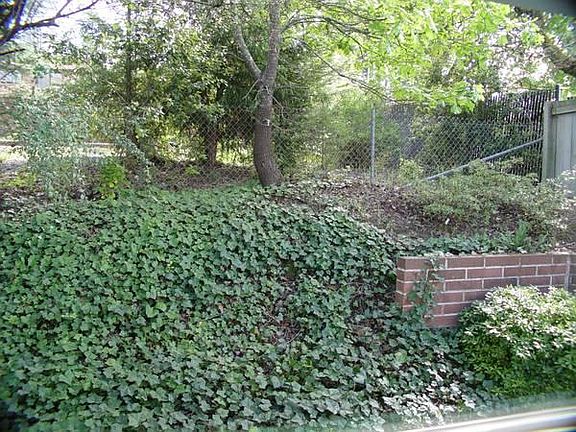 Ivy bank and private patio area at southwest corner of property.