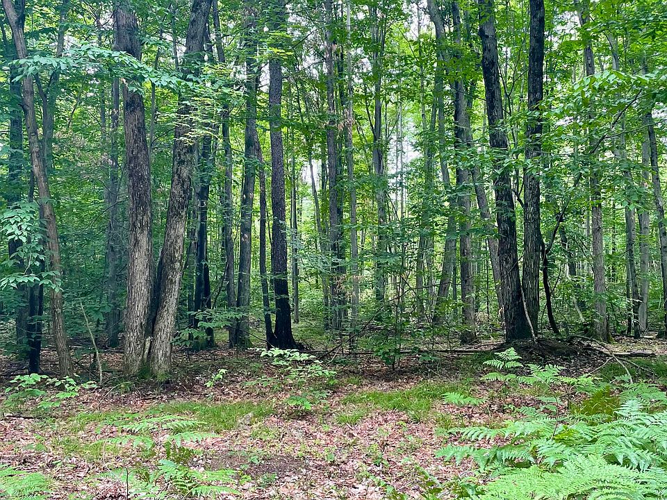 1st image of N Forest Ln