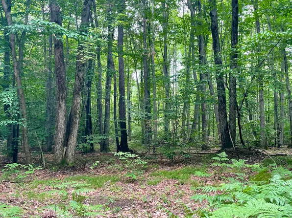 N Forest Ln, Scottville, MI 49454