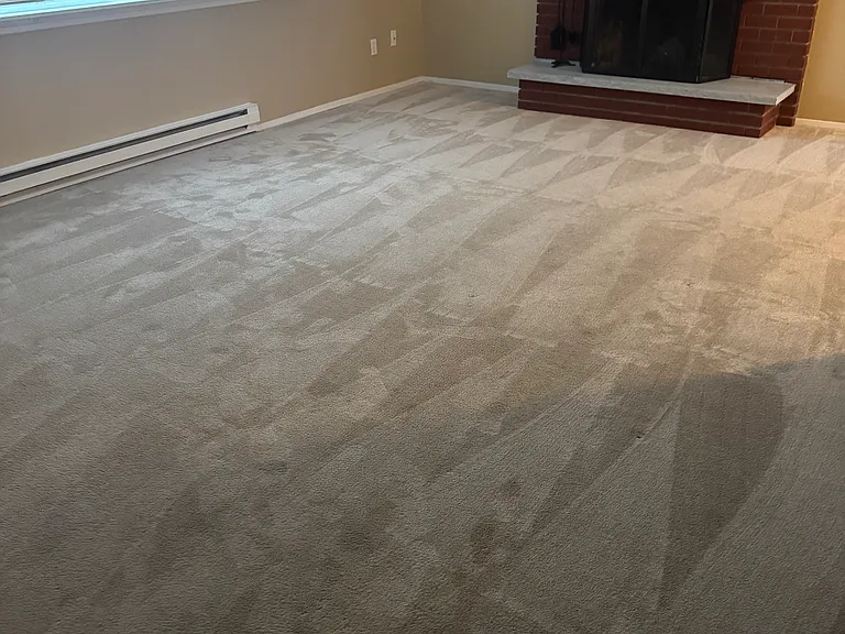 Fireplace in living room