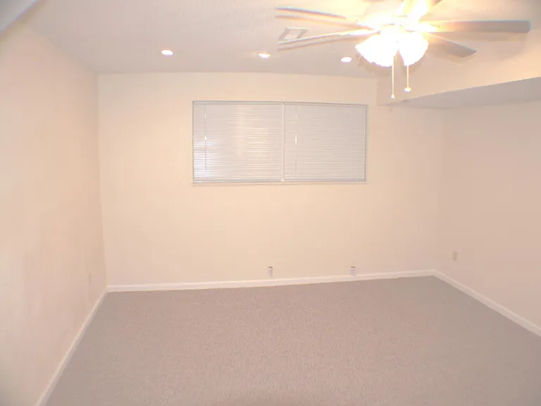 Lower Level Bedroom/Recreation Room