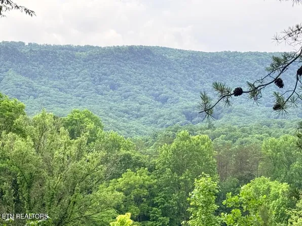 Old Chilhowee Tract 1 Rd, Seymour, TN 37865