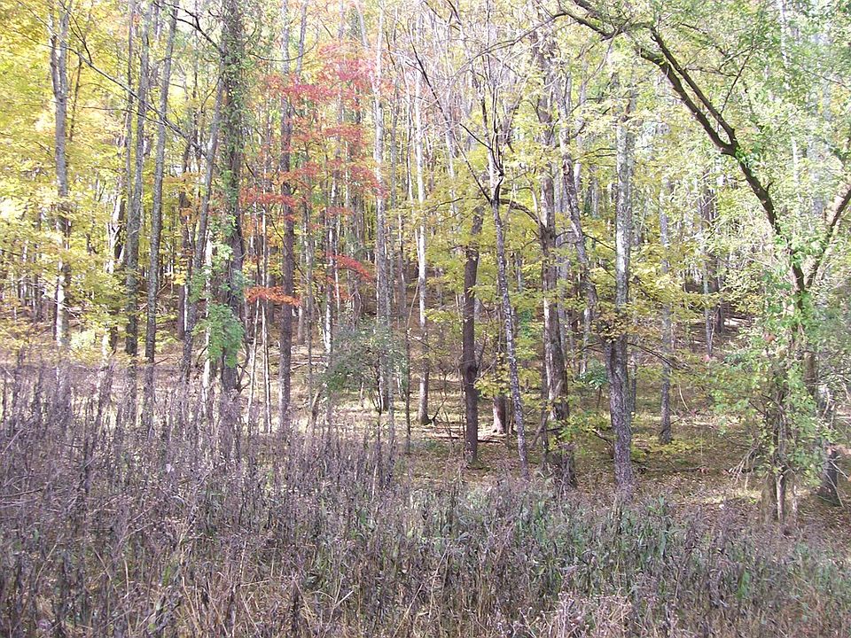 660 Marion Ave, Tazewell, VA 24651 Zillow