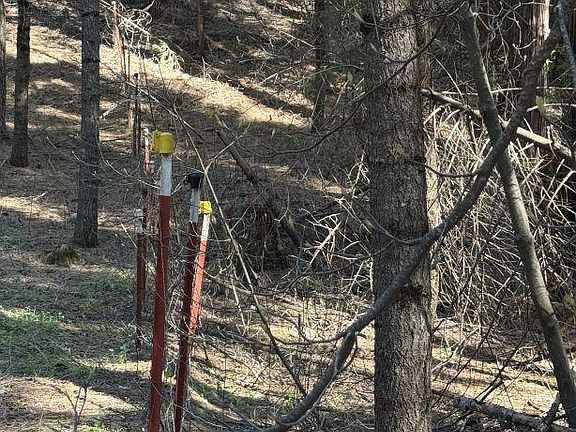 4th image of Caine Rd