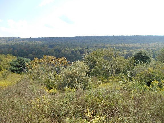 3rd image of LOT 6 Sec 1