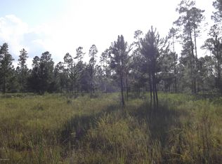 33145 Wiregrass Way, Callahan, FL 32011