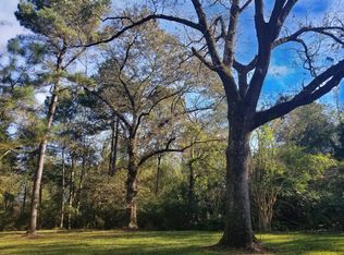 537 Delancy Robbins Rd, Columbia, MS 39429