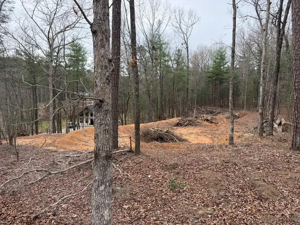 5 Oakwood Trl, Mineral Bluff, GA 30559