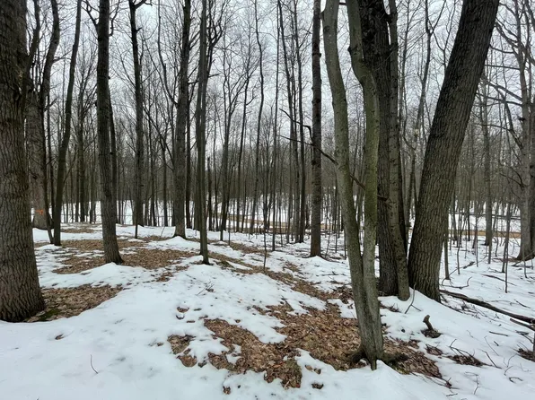 9924 Sweet Tree Ln, Stanwood, MI 49346