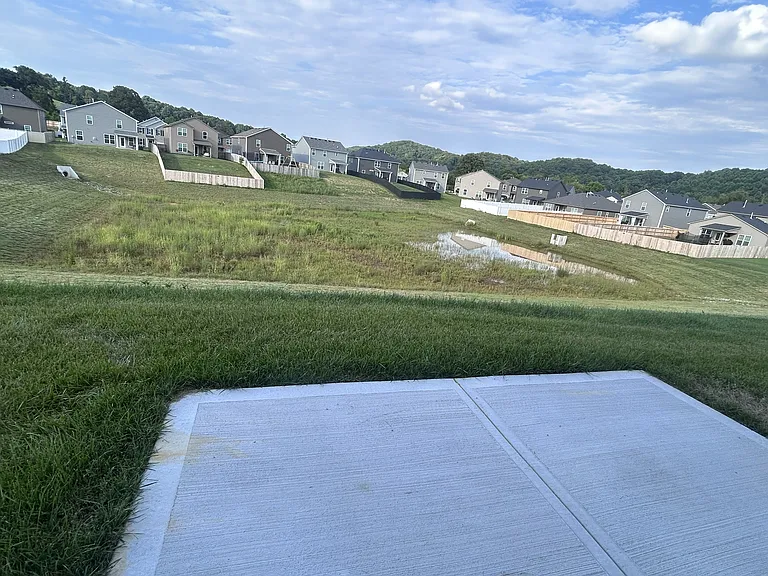 Back yard